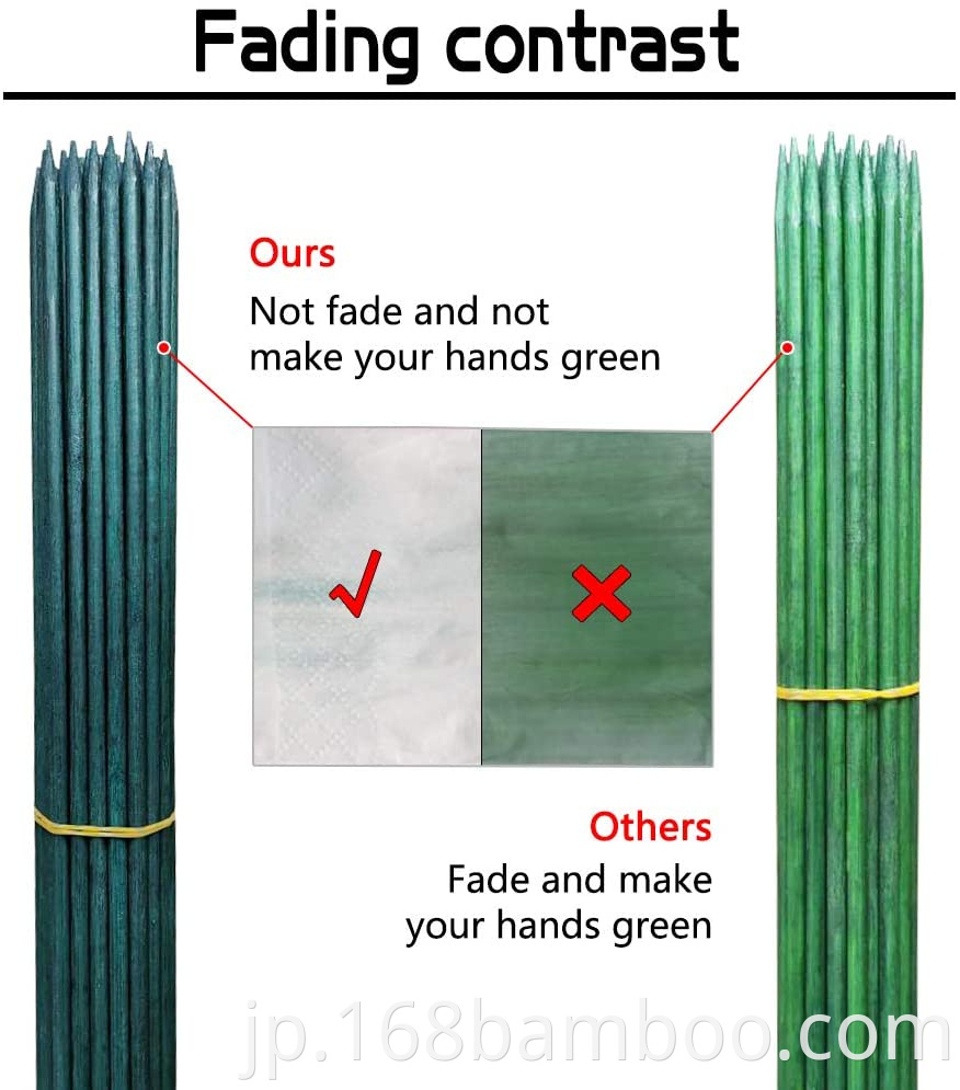 Green bamboo sticks